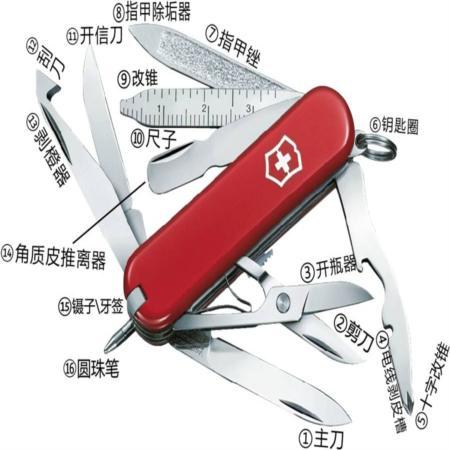 瑞士军刀迷你小冠军淘礼巴巴